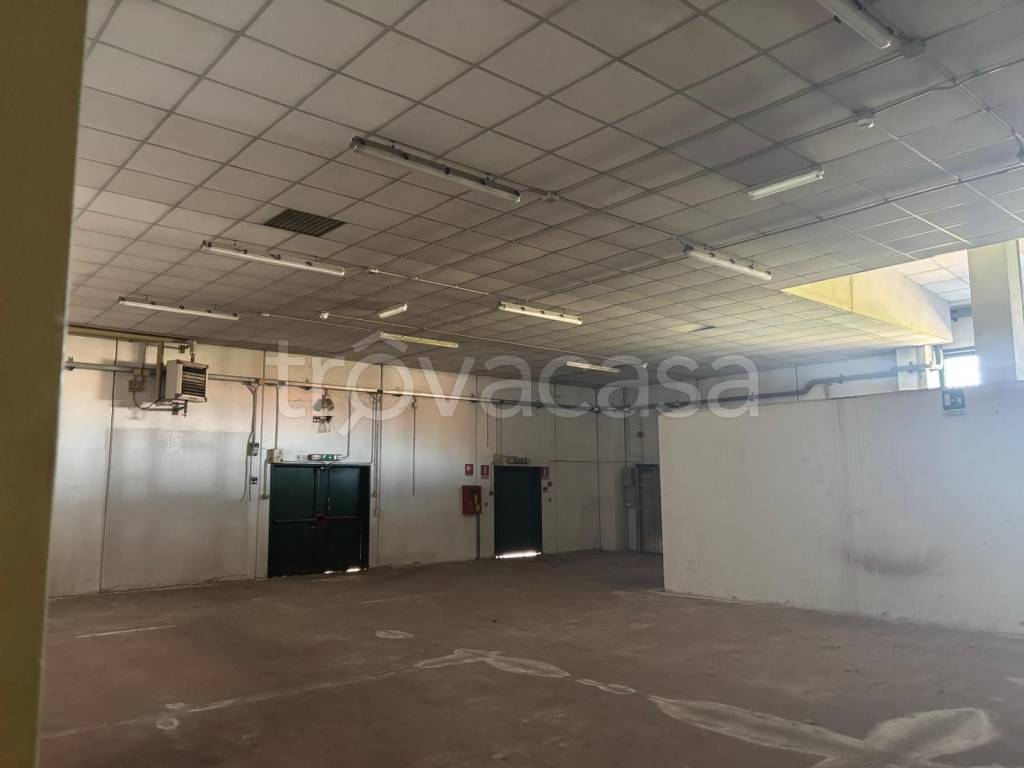 immagine annuncio 5 di 8