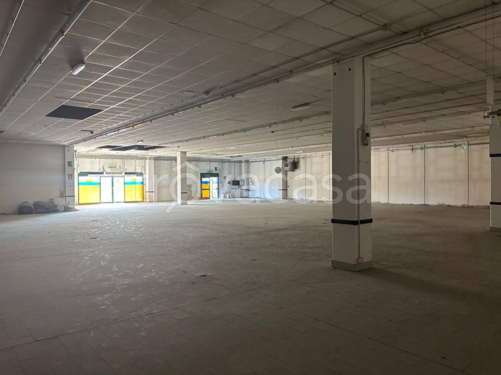 immagine annuncio 6 di 8