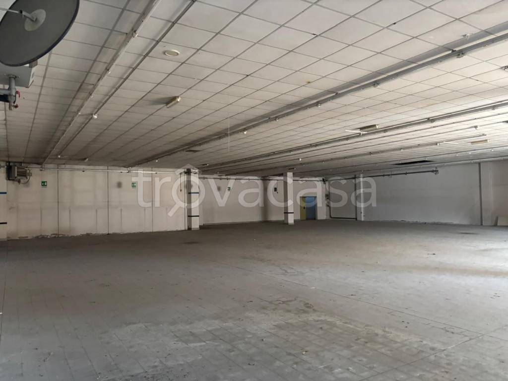 immagine annuncio 7 di 8