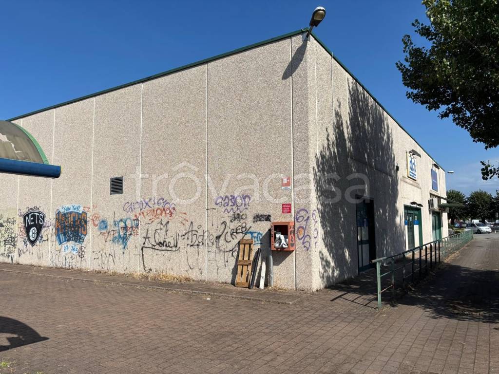 immagine annuncio 2 di 8