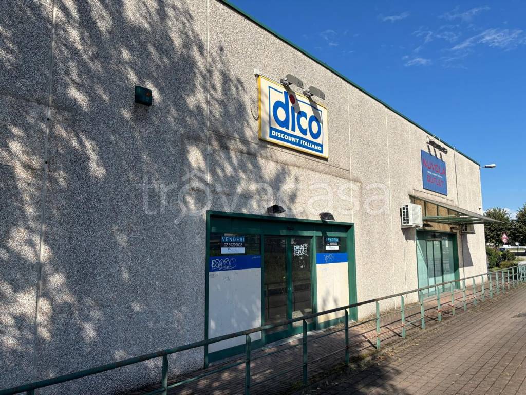 immagine annuncio 1 di 8