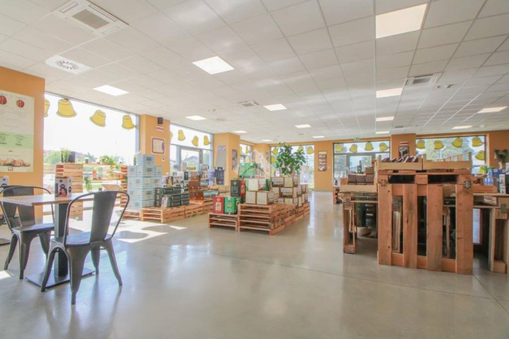 immagine annuncio 6 di 15