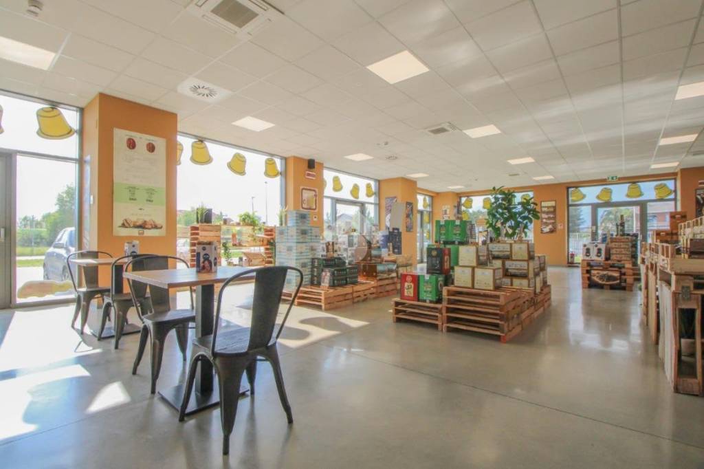 immagine annuncio 9 di 15