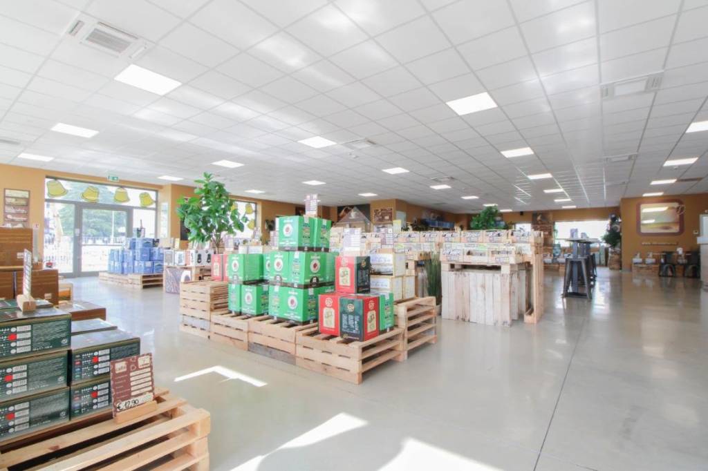 immagine annuncio 11 di 15