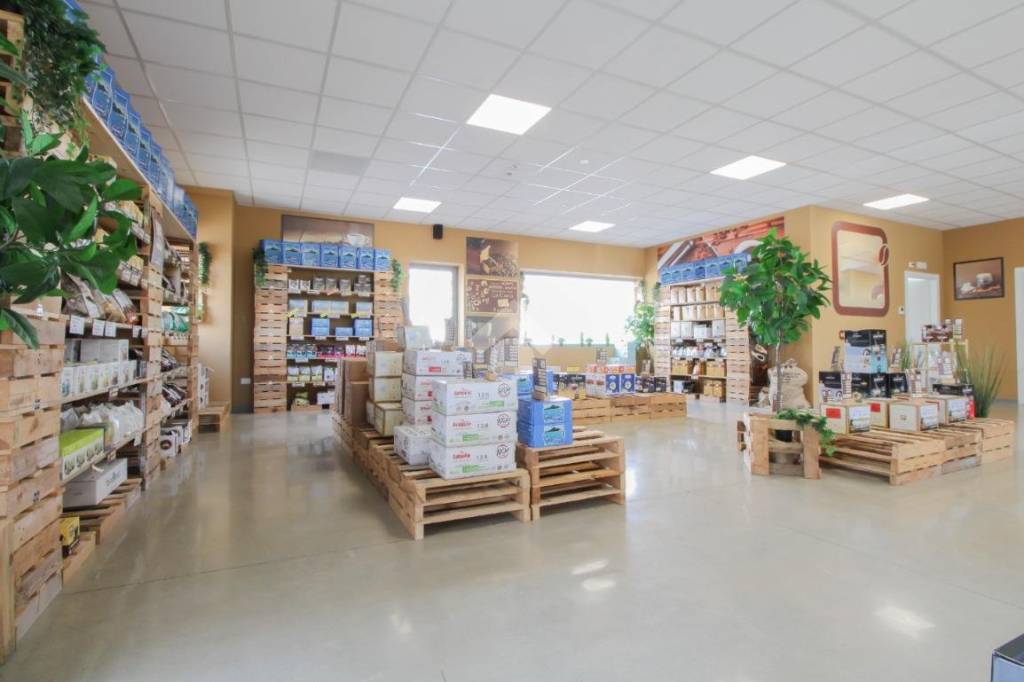 immagine annuncio 13 di 15