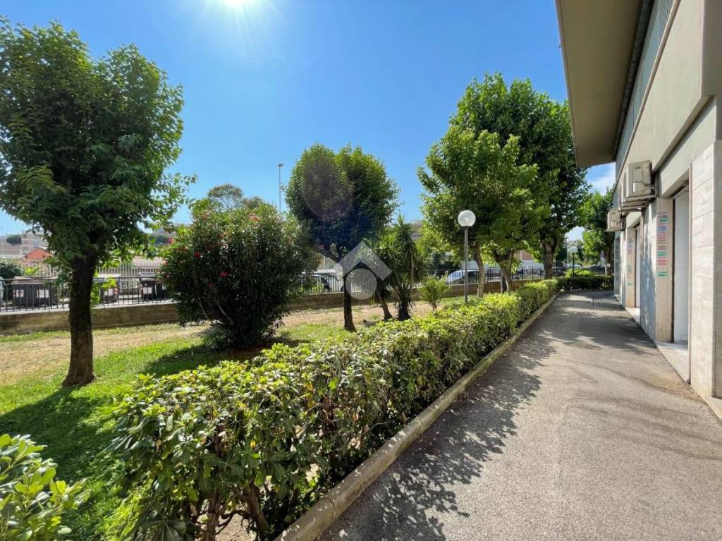 immagine annuncio 7 di 9