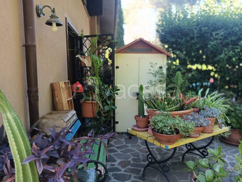 immagine annuncio 9 di 15