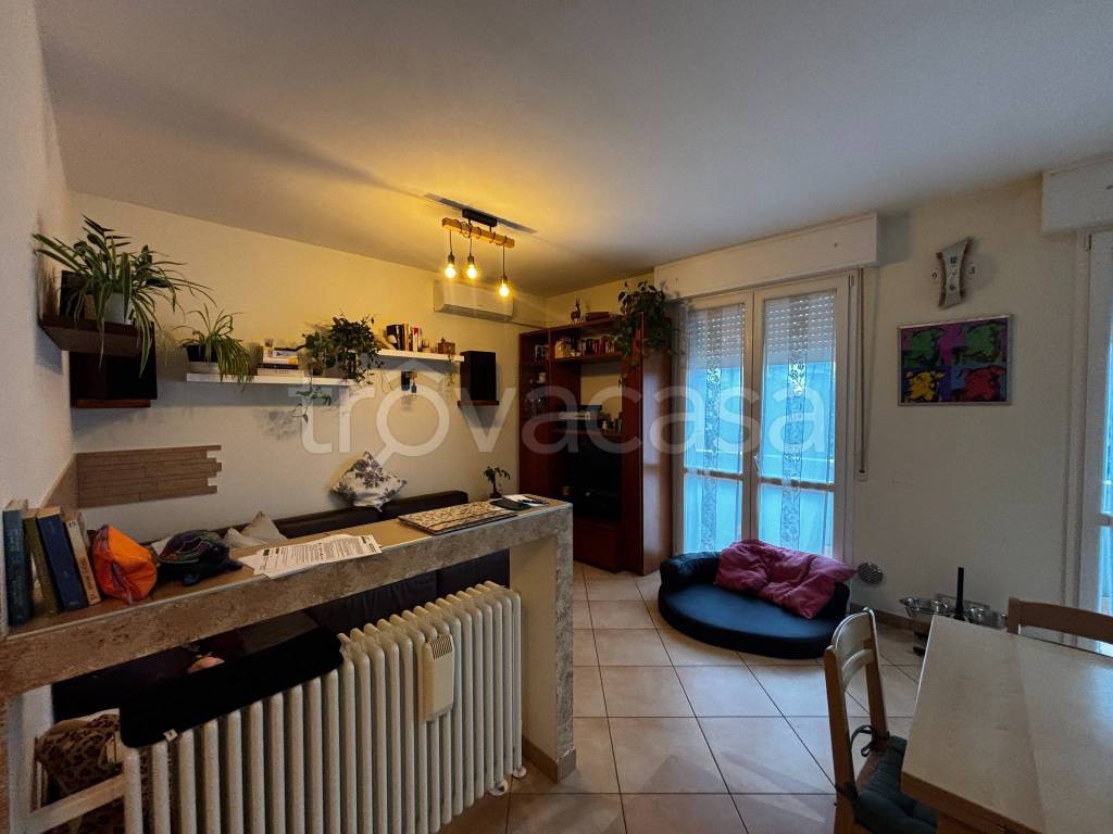 immagine annuncio 9 di 15