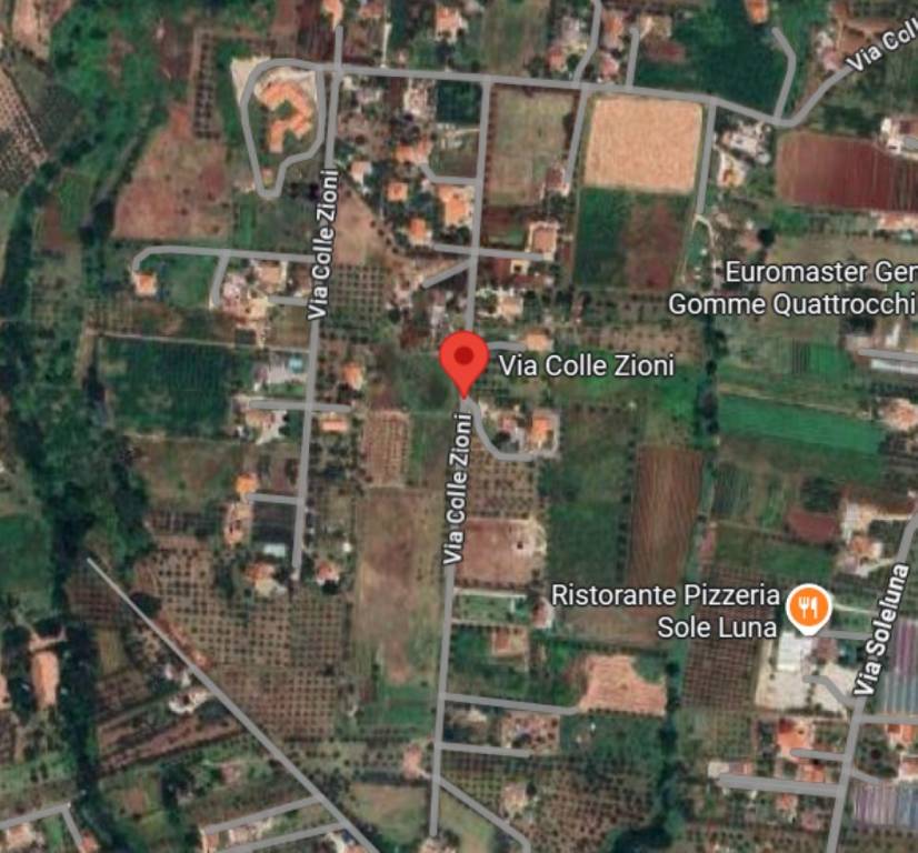 immagine annuncio 9 di 13