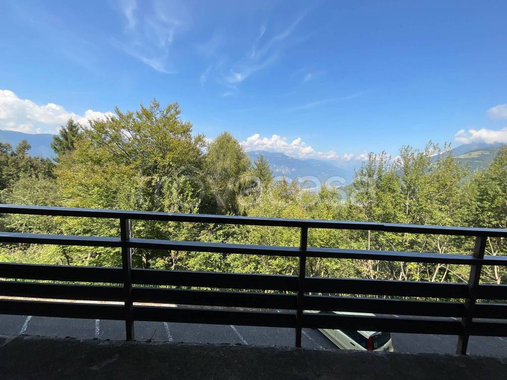 immagine annuncio 9 di 13