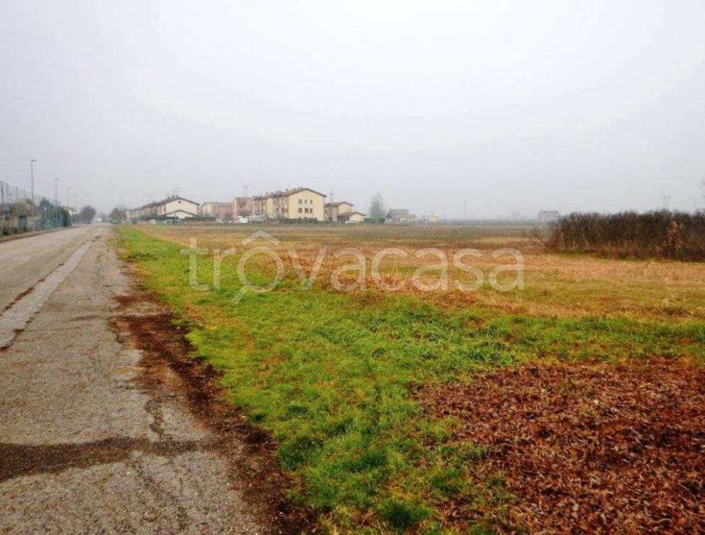 immagine annuncio 3 di 11