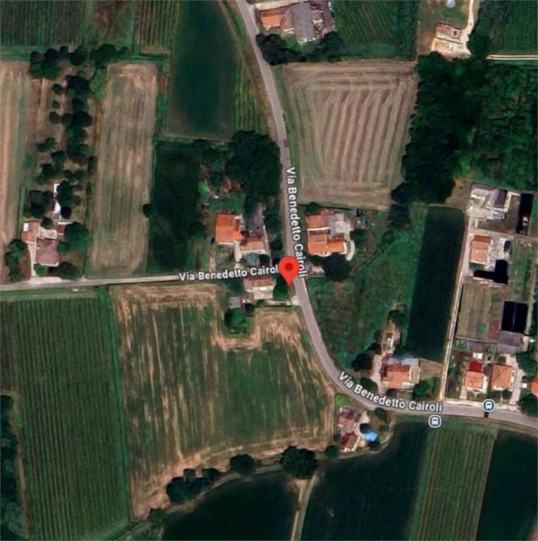 immagine annuncio 10 di 12