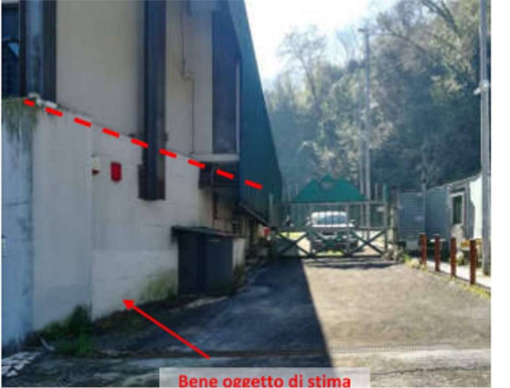 immagine annuncio 4 di 8