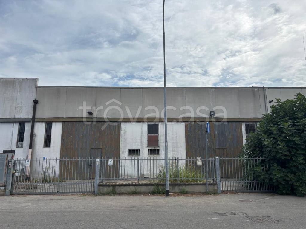 immagine annuncio 2 di 9