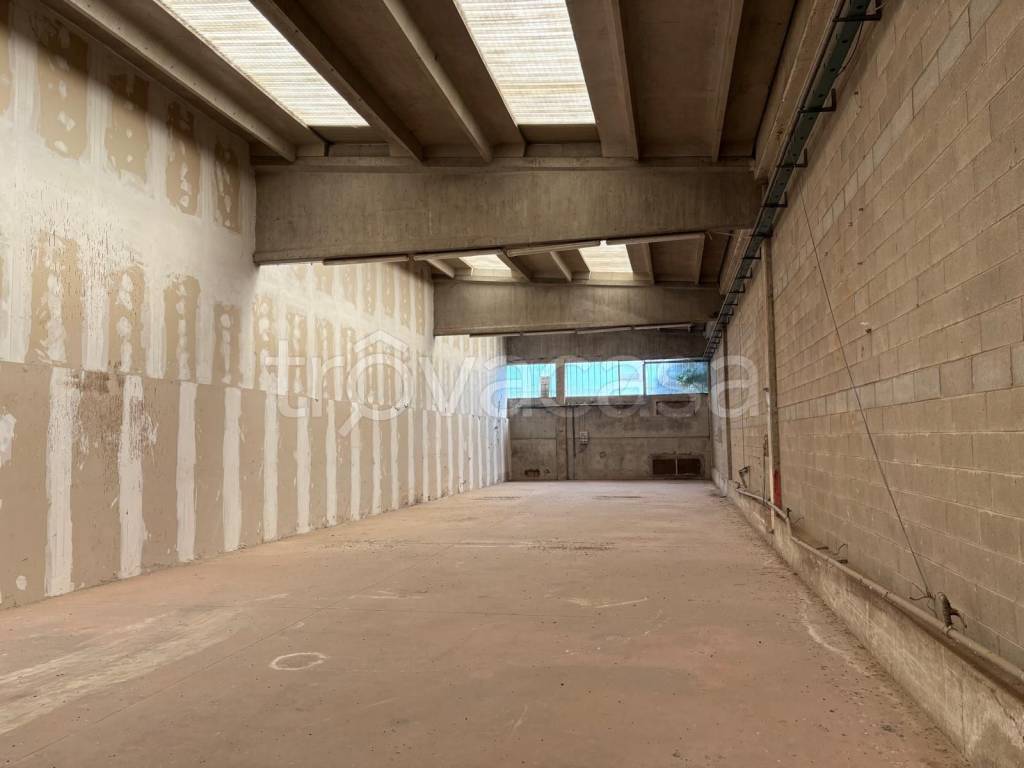 immagine annuncio 5 di 9