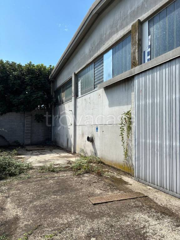 immagine annuncio 3 di 9