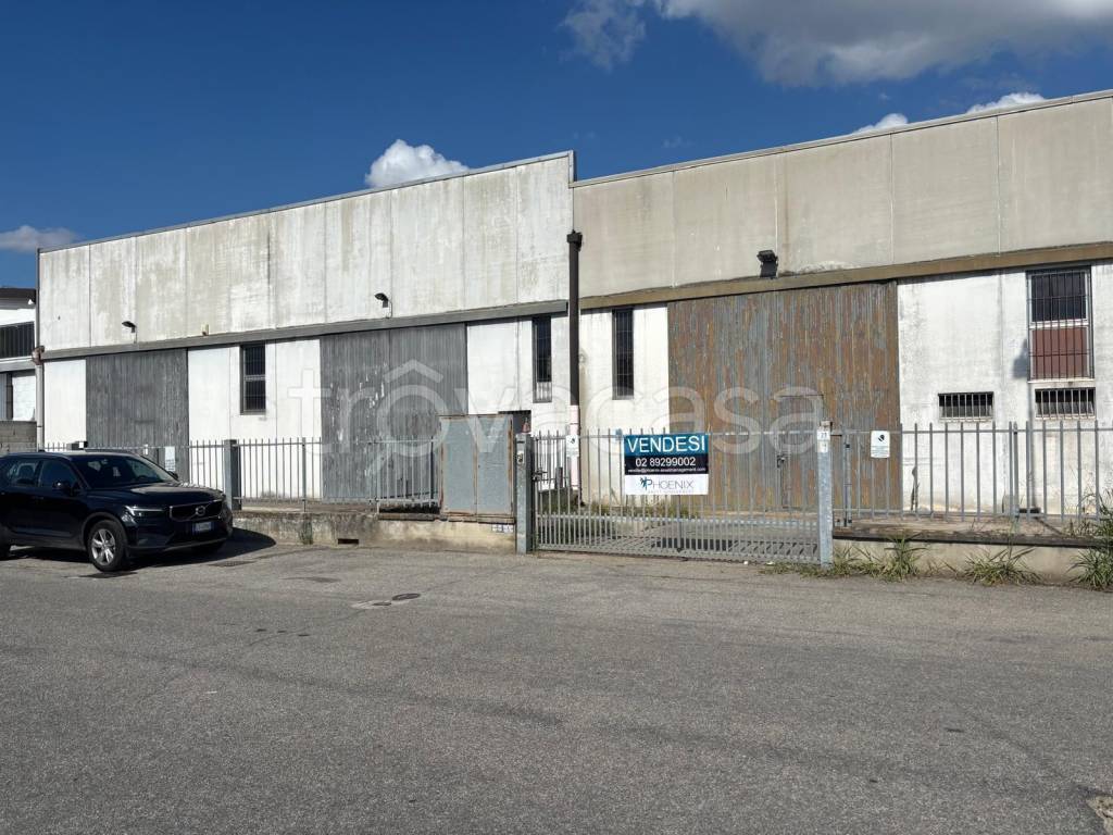 immagine annuncio 1 di 9