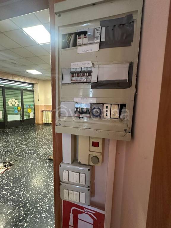 immagine annuncio 6 di 12