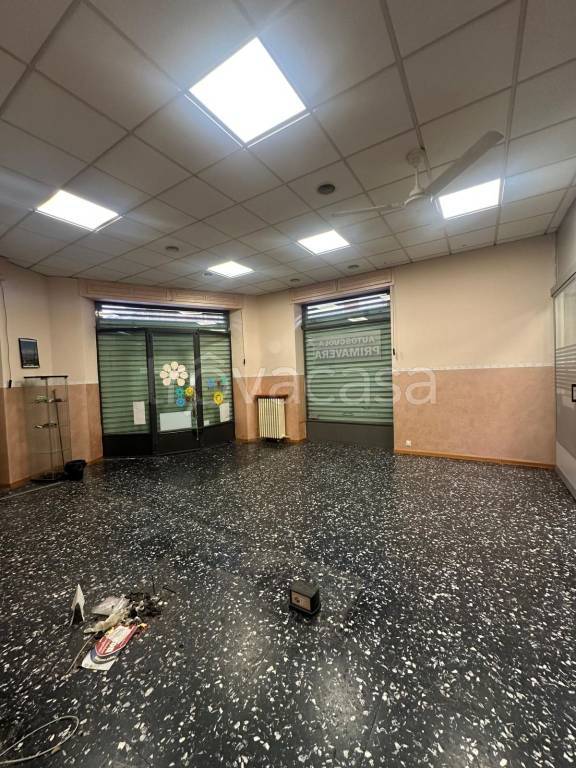 immagine annuncio 4 di 12