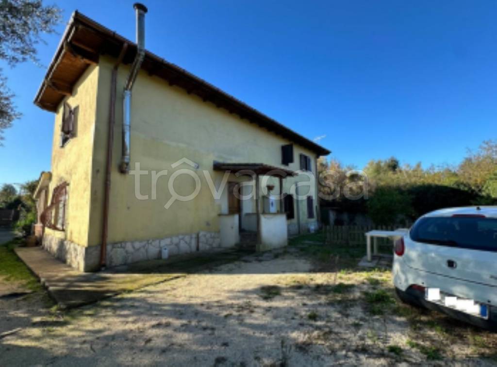 immagine annuncio 8 di 12