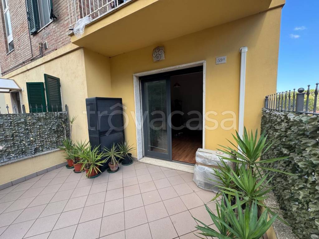 immagine annuncio 12 di 14