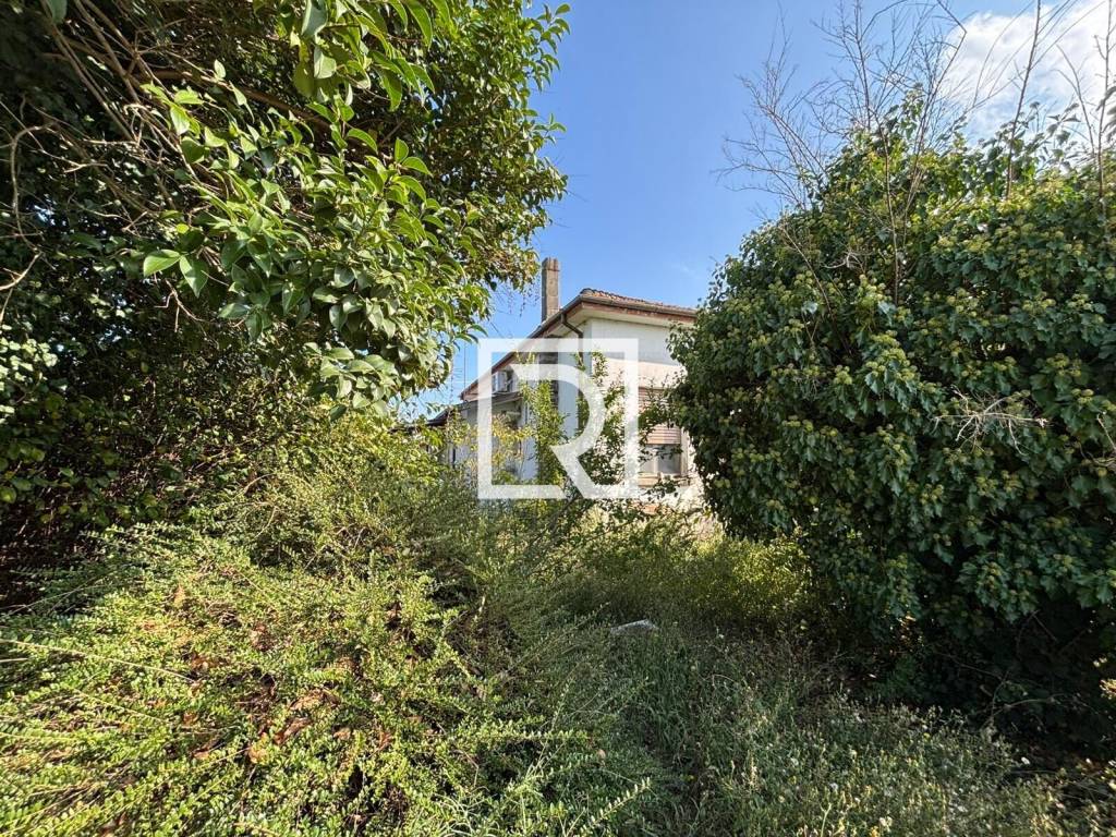 immagine annuncio 4 di 8