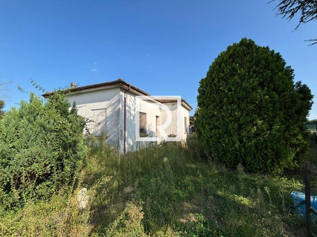 immagine annuncio 7 di 8