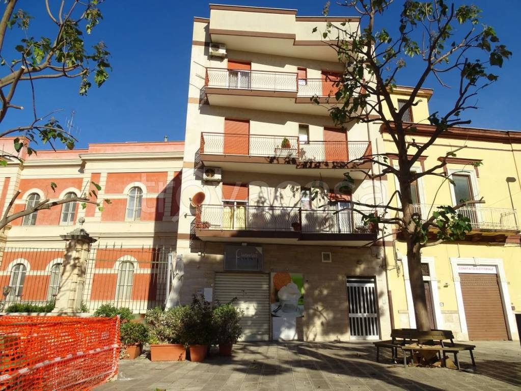 immagine annuncio 1 di 14