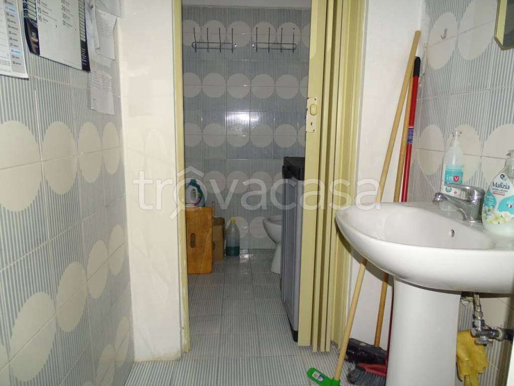 immagine annuncio 10 di 14