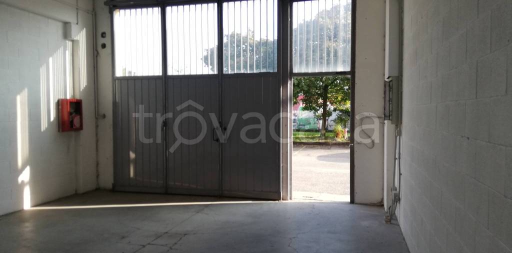 immagine annuncio 4 di 9