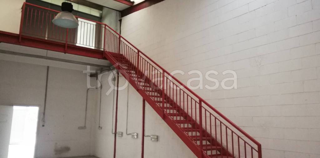 immagine annuncio 3 di 9