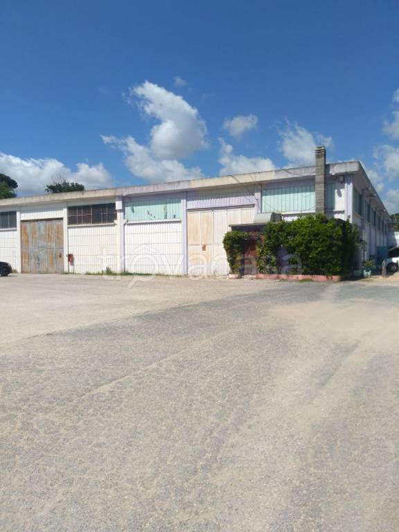 immagine annuncio 4 di 11