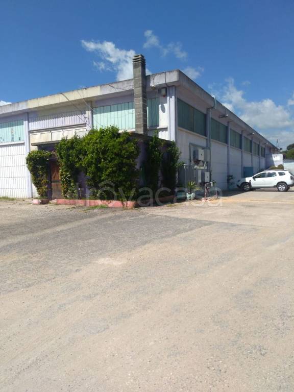 immagine annuncio 6 di 11