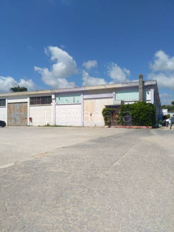 immagine annuncio 7 di 11