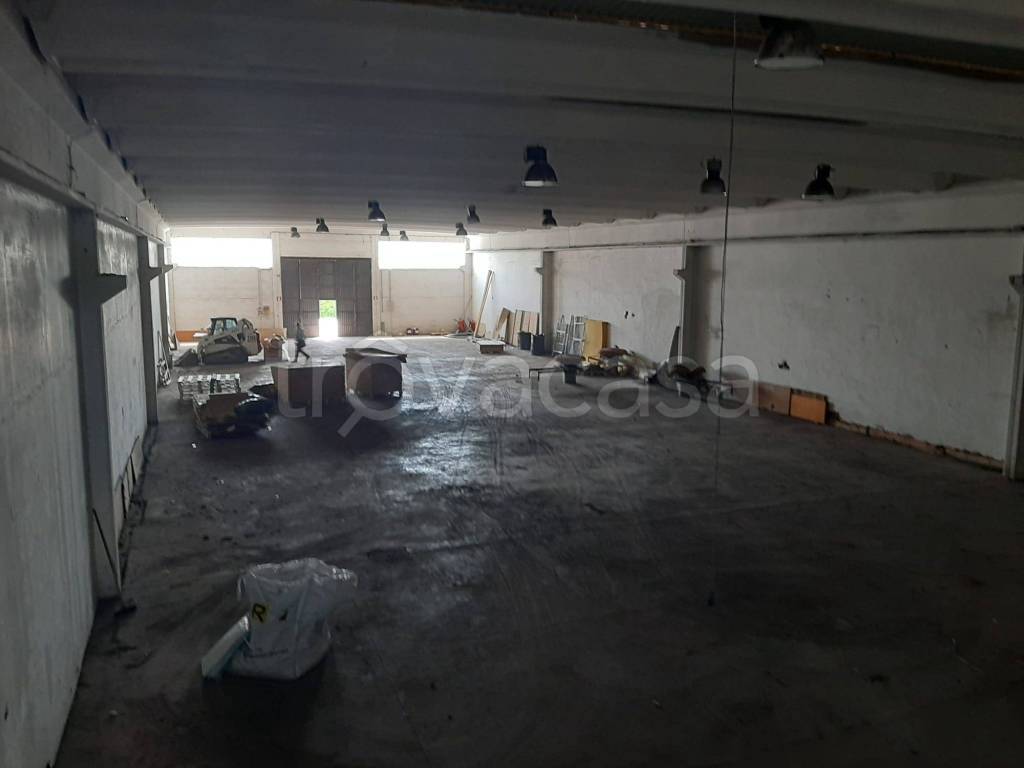 immagine annuncio 10 di 11