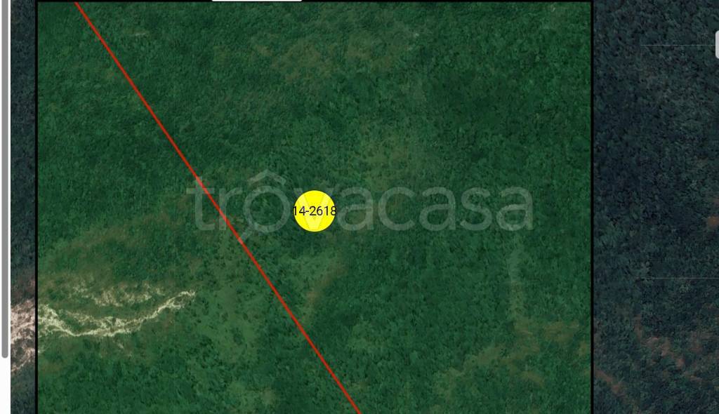 immagine annuncio 11 di 12