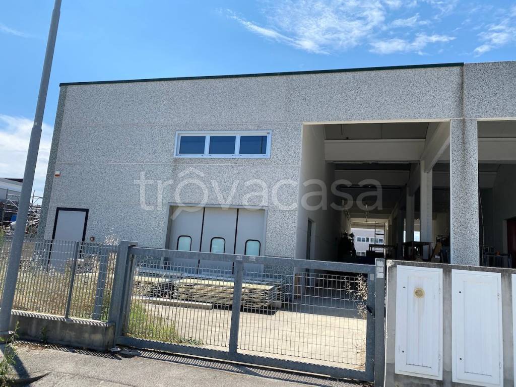 immagine annuncio 2 di 15