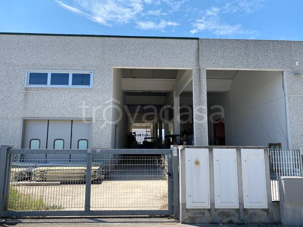 immagine annuncio 3 di 15