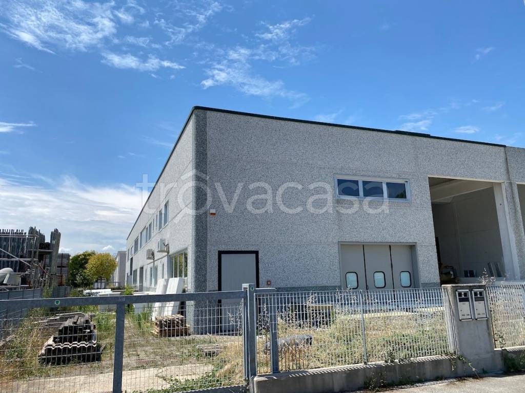 immagine annuncio 5 di 15