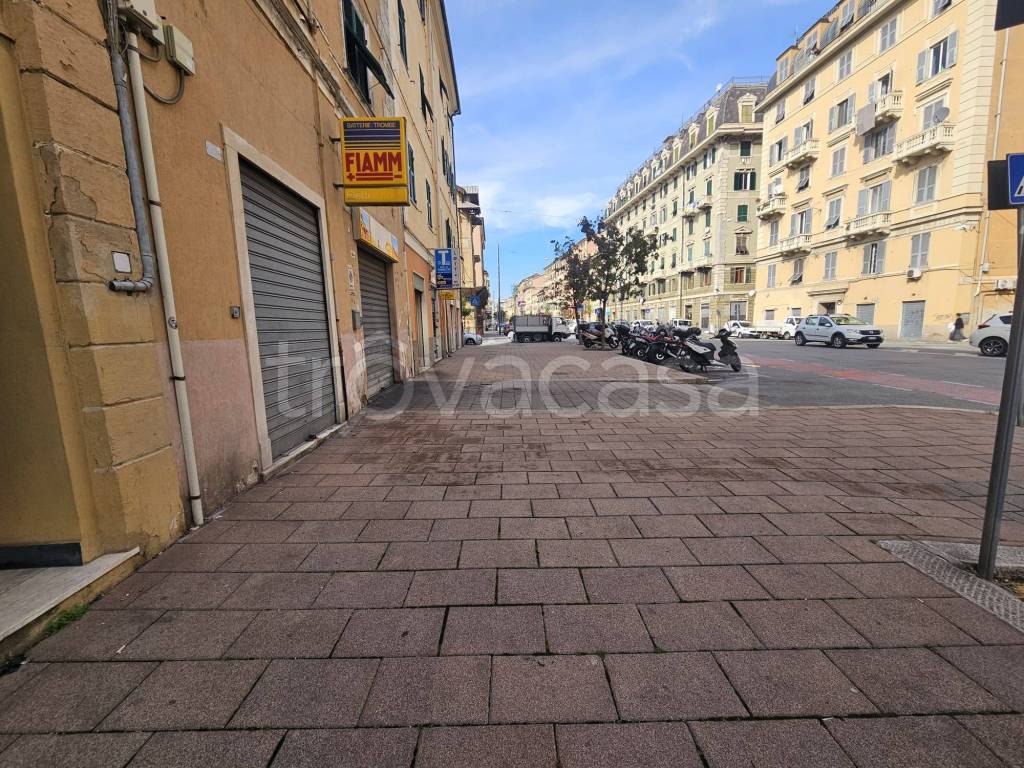 immagine annuncio 6 di 8