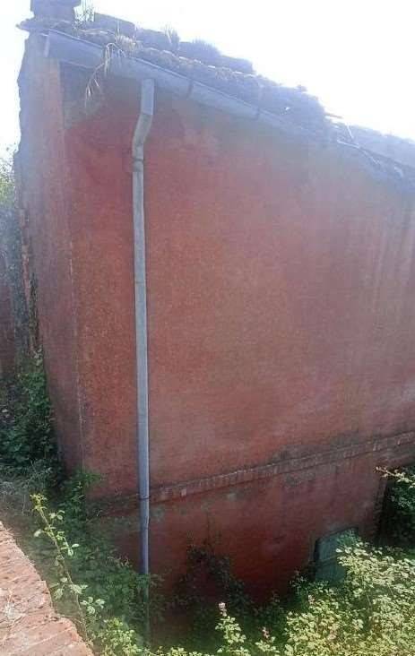 immagine annuncio 4 di 7