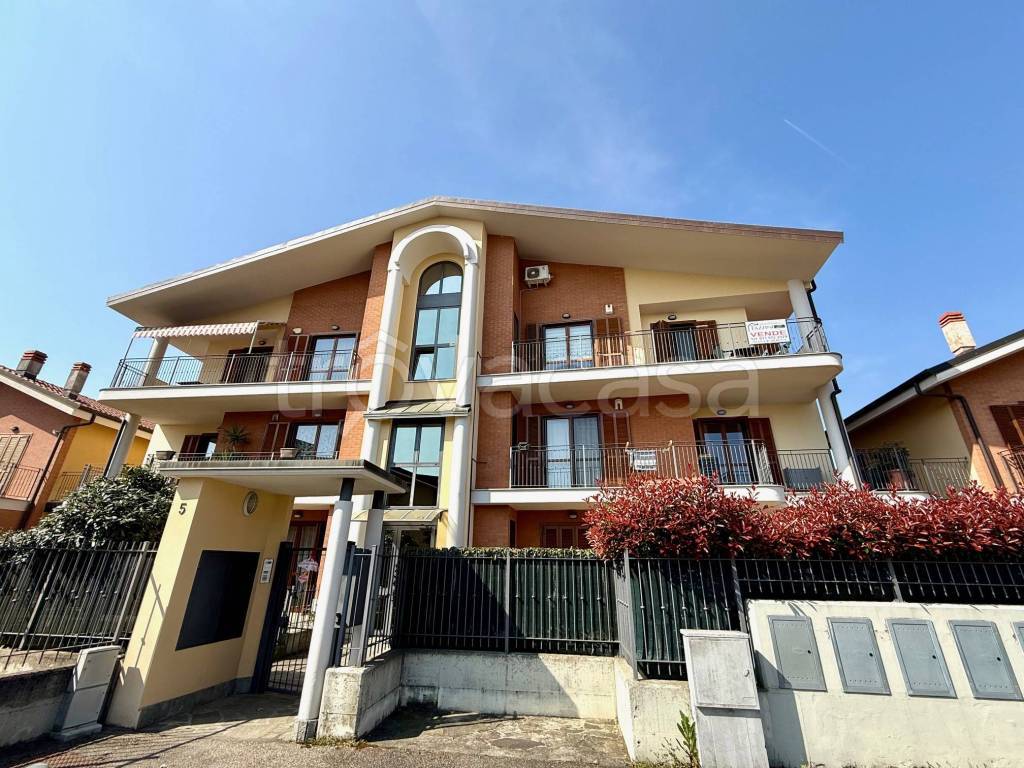 immagine annuncio 1 di 15