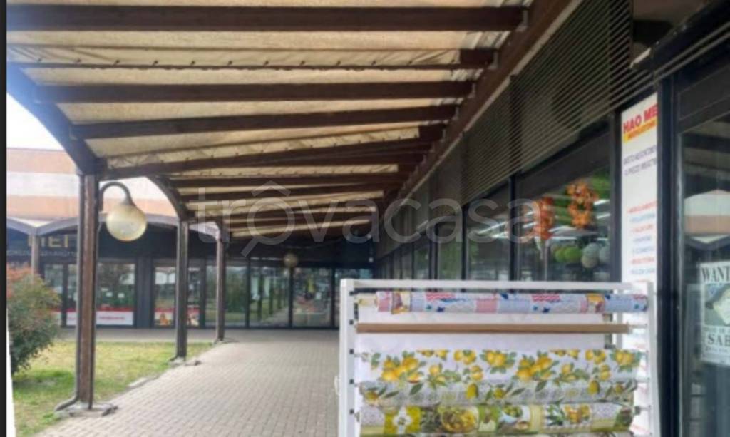 immagine annuncio 9 di 14