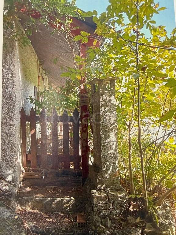 immagine annuncio 2 di 4