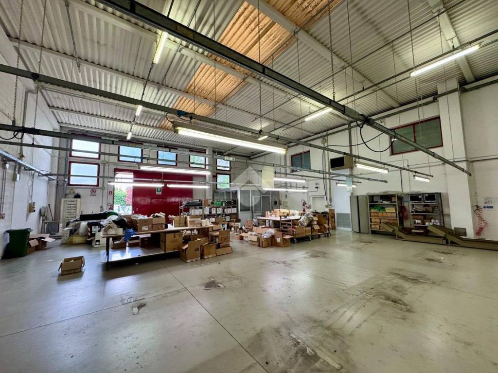 immagine annuncio 4 di 9