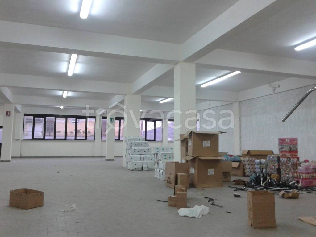 immagine annuncio 4 di 8