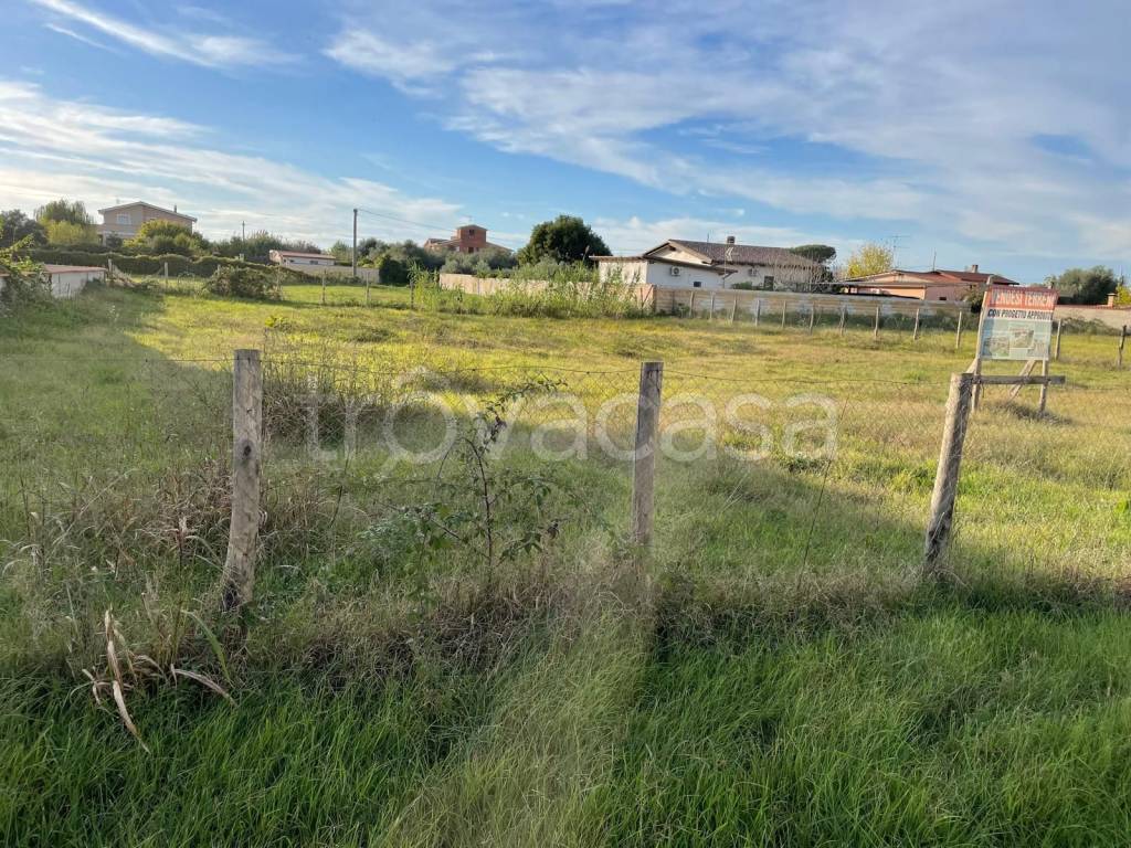 immagine annuncio 6 di 14