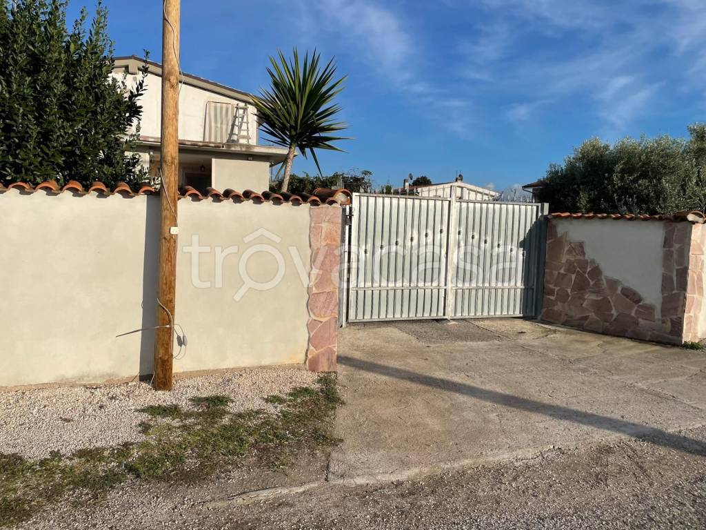 immagine annuncio 11 di 14