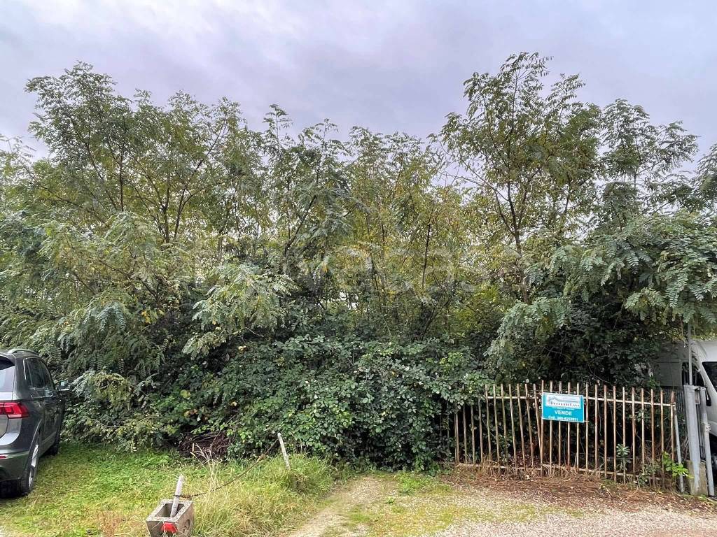 immagine annuncio 4 di 8