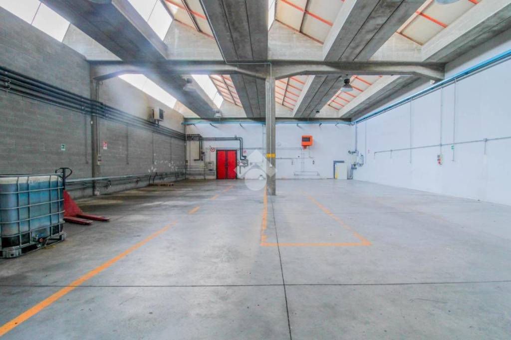 immagine annuncio 1 di 12